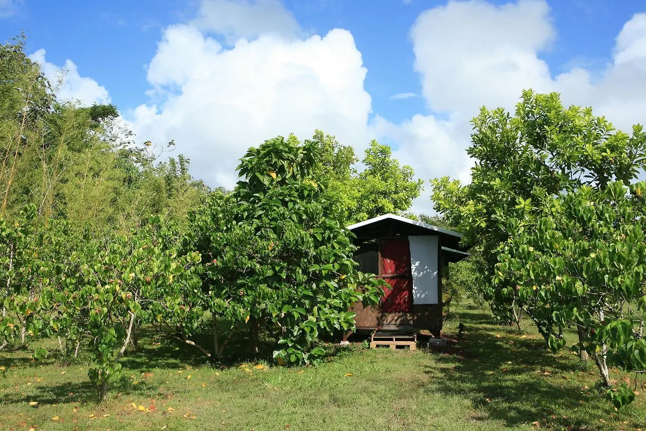 Kirpal Meditation And Ecological Center Pahoa
