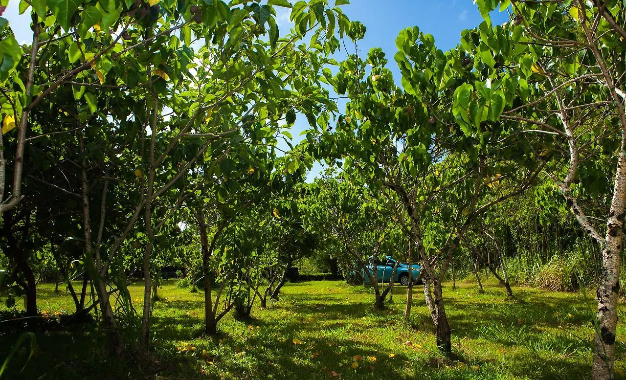 Kirpal Meditation And Ecological Center Pahoa