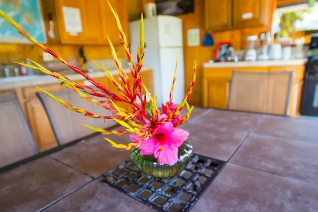 ** Hotel Kirpal Meditation And Ecological Center Pahoa États-Unis