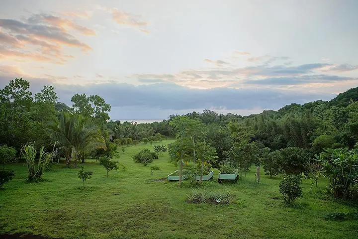 Hotel Kirpal Meditation And Ecological Center Pahoa