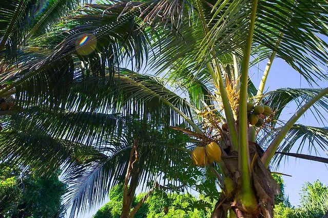 Kirpal Meditation And Ecological Center Pahoa 2*,