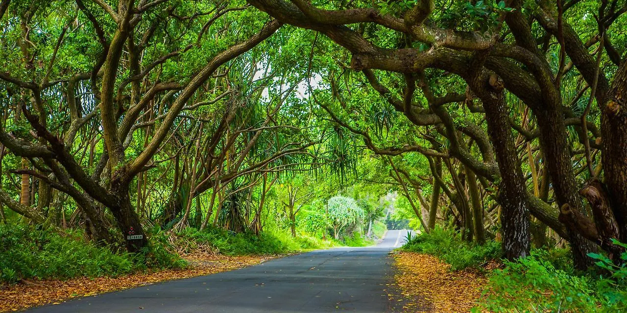 Hotel Kirpal Meditation And Ecological Center Pahoa