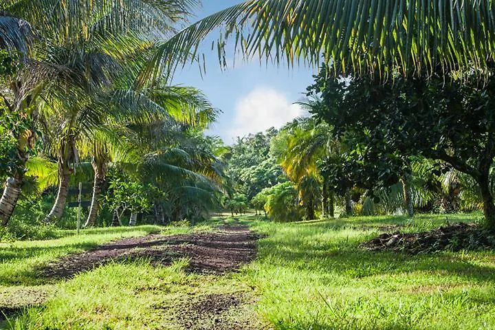 ** Szálloda Kirpal Meditation And Ecological Center Pahoa Amerikai Egyesült Államok