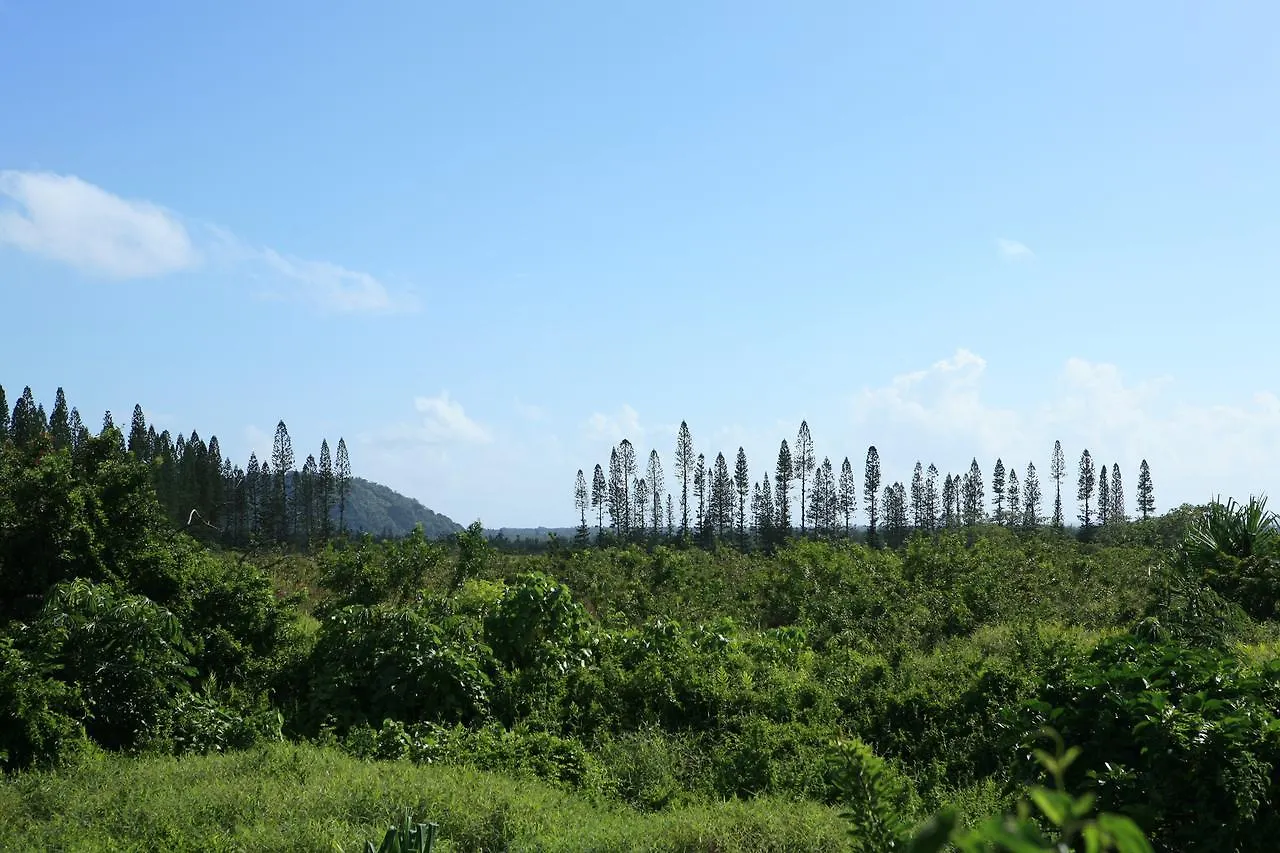Hotel Kirpal Meditation And Ecological Center Pahoa