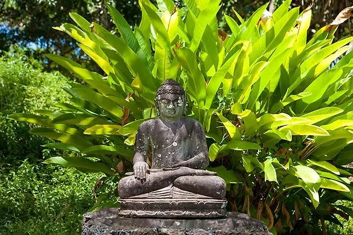Kirpal Meditation And Ecological Center Pahoa États-Unis